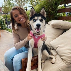 Long sleeve tan bodysuit (wholesale)